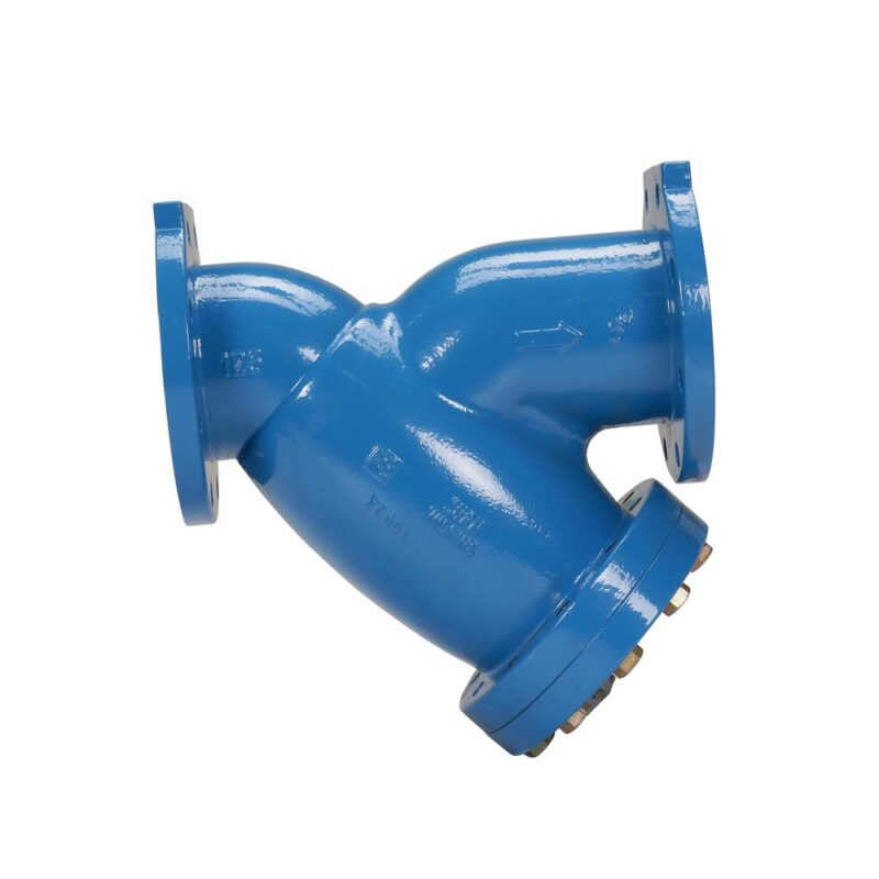 WILKINS 10" FSC FLANGED CAST IRON WYE STRAINER  FDA EPOXY COATED 2" FIP OUTLET