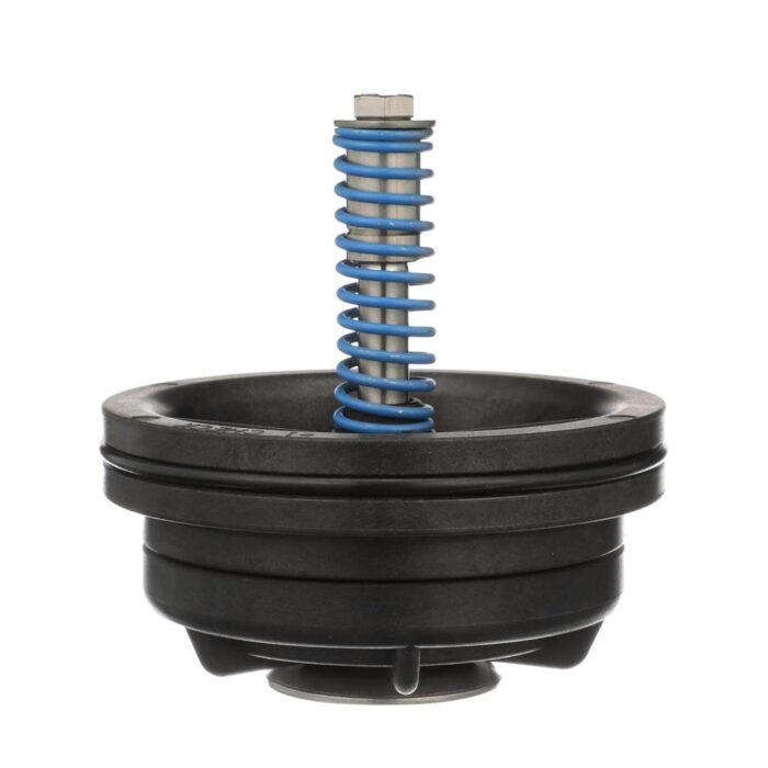 WILKINS RK212-350CK1 - #1 CHECK ASSEMBLY