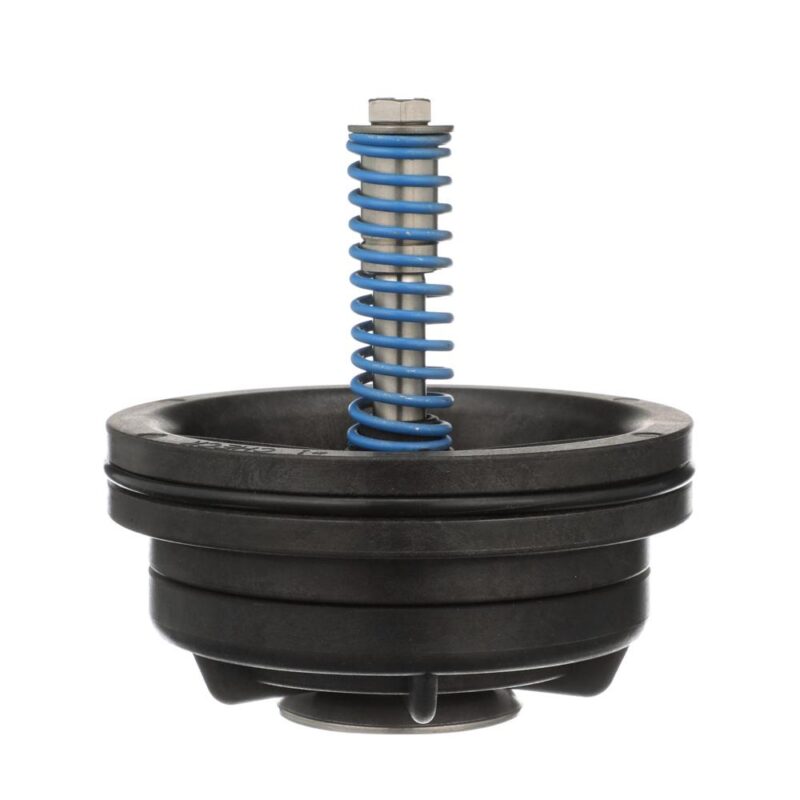 WILKINS RK212-350CK1 - #1 CHECK ASSEMBLY