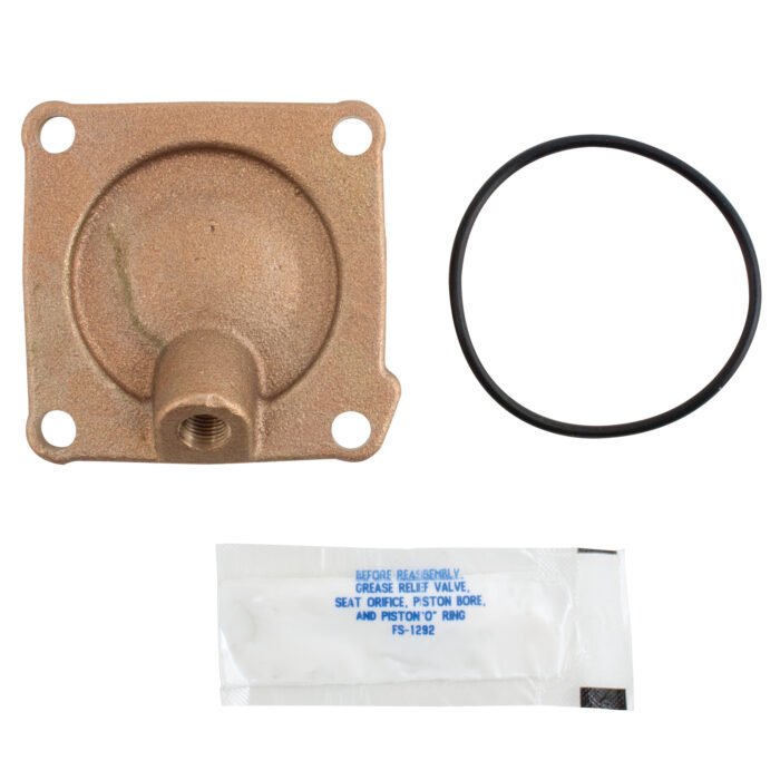 WATTS 0887156 - C1 - #1 CHECK COVER KIT FOR 3/4" - 1" 709-QT DC ASSEMBLIES
