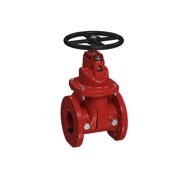 AMES 2 1/2" NRS GATE VALVE - CAST IRON FLG X FLG