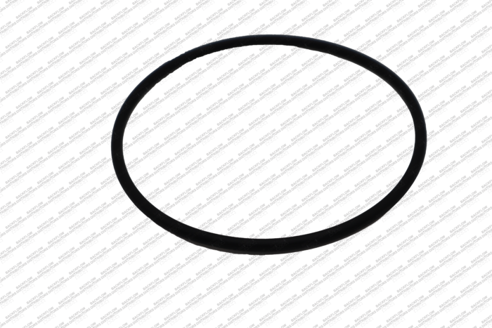 AMES7017896 - "O" RING FOR VALVE BODY SLEEVE FOR 2 1/2" - 4" COLT/MAXIM 200/300/400 SERIES - 2 REQUIRED