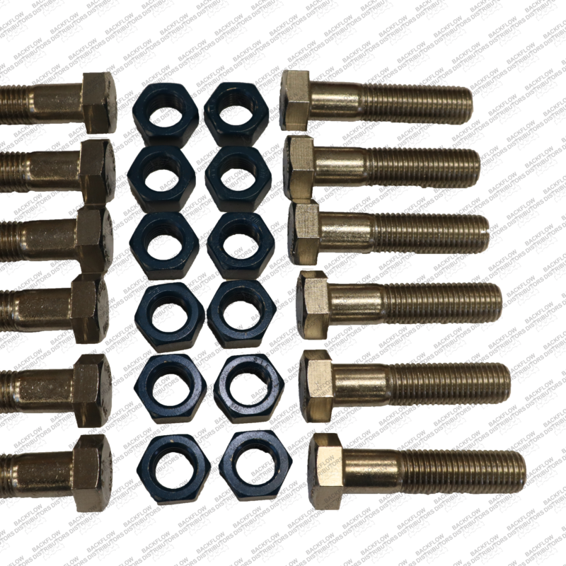 10" 304 STAINLESS STEEL BOLT & NUT SET WITH FLUOROKOTE HEX NUT  12 EA 7/8" X 3 3/4" BOLT