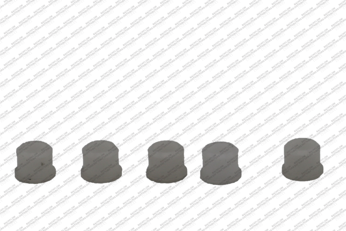 FEBCO 500299 - SEAT RING BUSHING FOR RELIEF VALVE 825YD 2 1/2"-10"