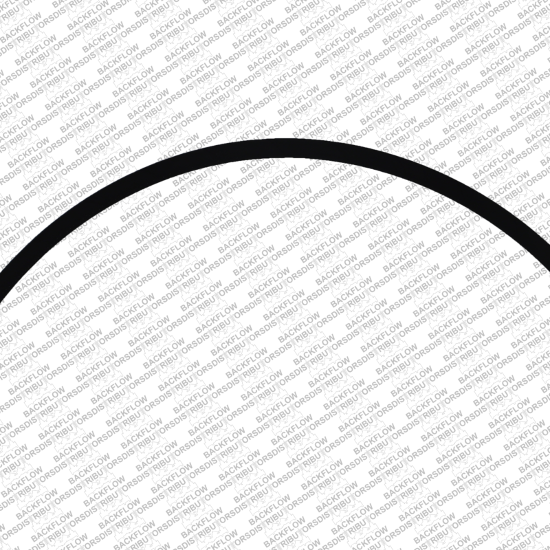 AMES 7013343 (6-5225) - RELIEF VALVE HOSE-2 1/2"-6" - 4000SS- 5000SS - S/S BODY TYPE ASSEMBLIES
