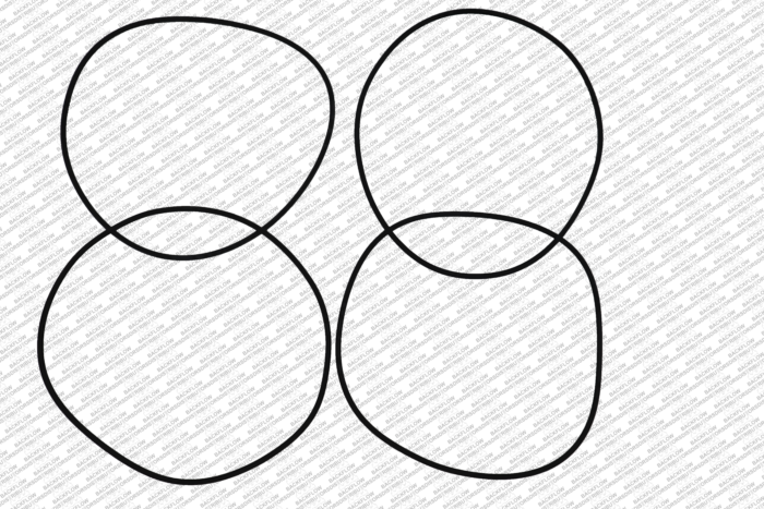 FEBCO 39626179 - #1 OR #2 CHECK COVER O-RING FOR 4" 860 / 880V ASSEMBLIES