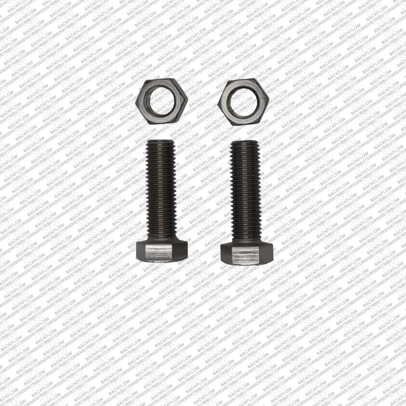 BS 3SS-METER - STAINLESS STEEL BOLT & NUT SET FOR 2" METER FLANGE - SET OF 2 EACH..***STAINLESS STEEL***