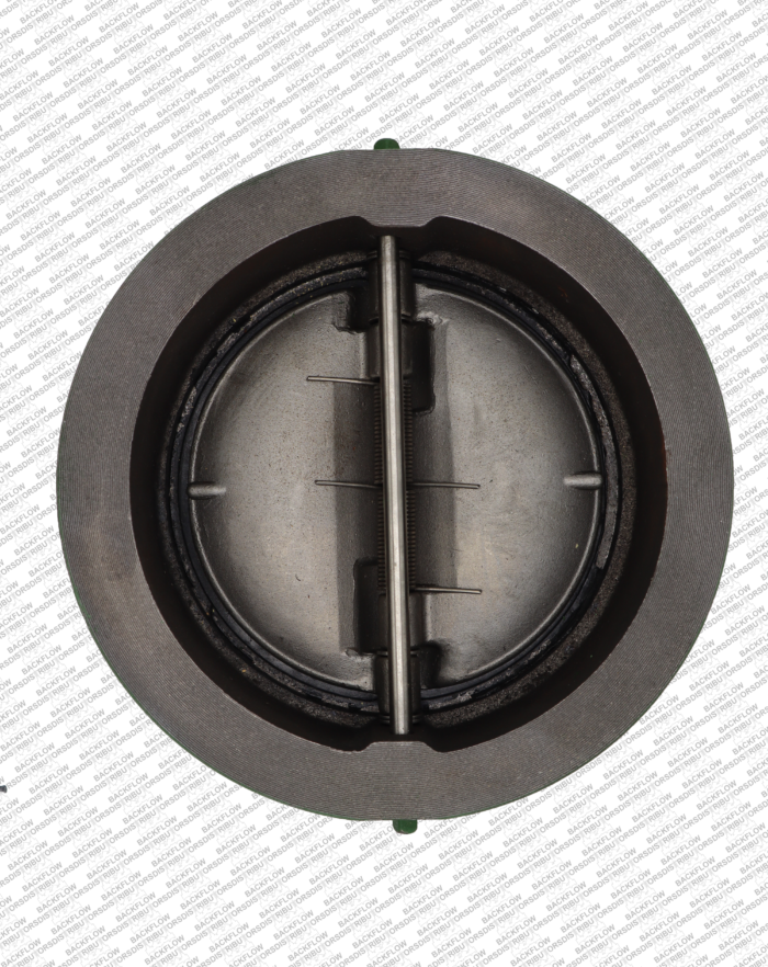 6" CAST IRON SURE CHECK VALVE
