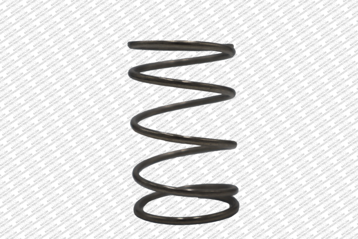 WATTS 1052082 - RELIEF VALVE SPRING ONLY FOR 2" LF009M2 RP ASSEMBLIES