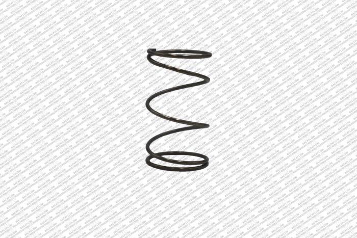 WATTS 1052096 - RELIEF VALVE SPRING ONLY FOR 3/4" 009M2 / 009M3 RP ASSEMBLIES