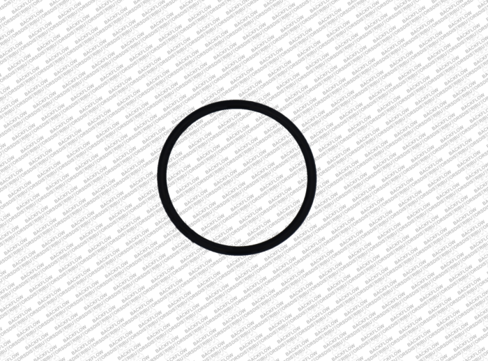 WATTS 1101801 - #1 CHECK MODULE O-RING FOR 3/4" - 1" 009M2QT RP ASSEMBLIES