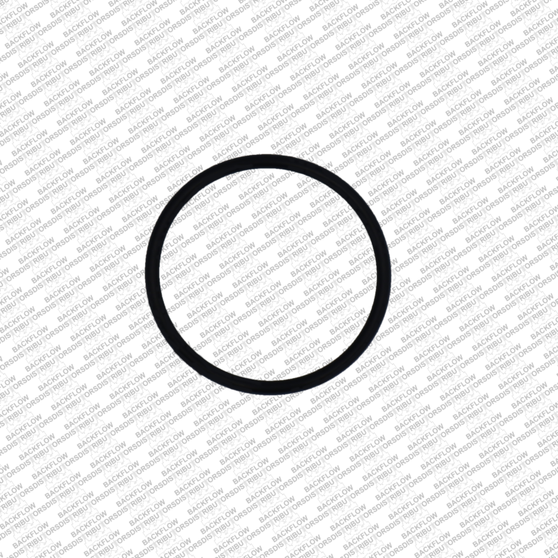 WATTS 1101801 - #1 CHECK MODULE O-RING FOR 3/4" - 1" 009M2QT RP ASSEMBLIES