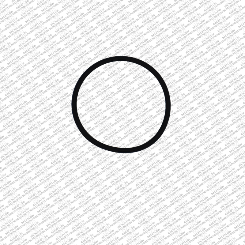 WATTS 1101802 - COVER O-RING FOR 3/4" 007M2QT DC ASSEMBLIES