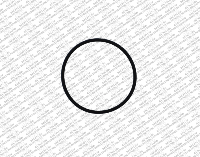 WILKINS 029N RELIEF VALVE SEAT O-RING FOR 1 1/4" - 2" 975XL2