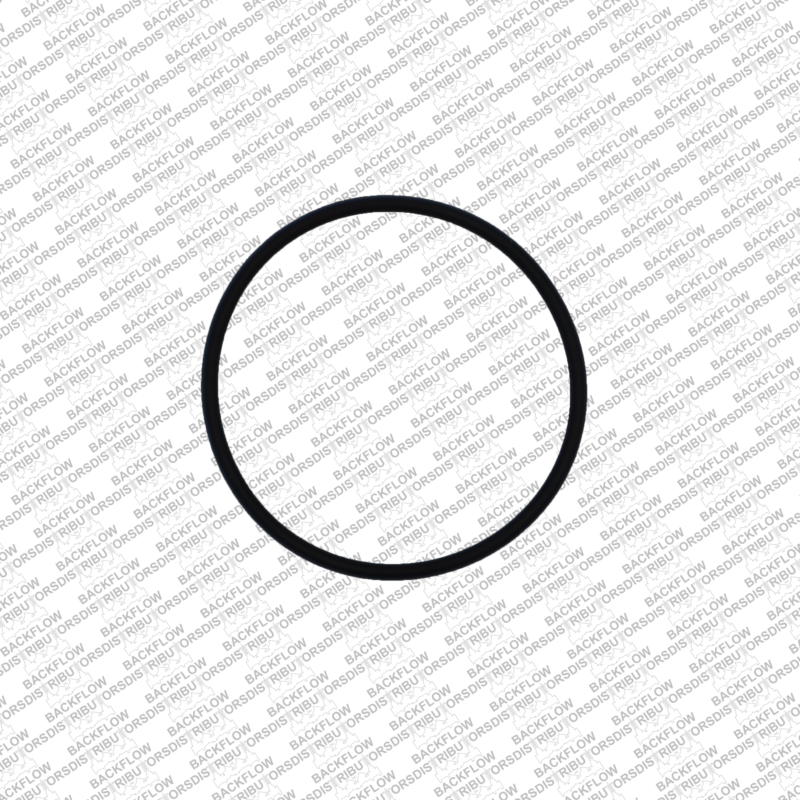 WILKINS 029N RELIEF VALVE SEAT O-RING FOR 1 1/4" - 2" 975XL2