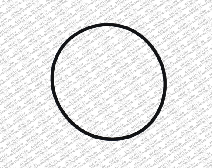 WILKINS 036N - LARGE O-RING FOR RELIEF VALVE BODY MOUNTING - 8" - 10" 975 RP ASSEMBLIES