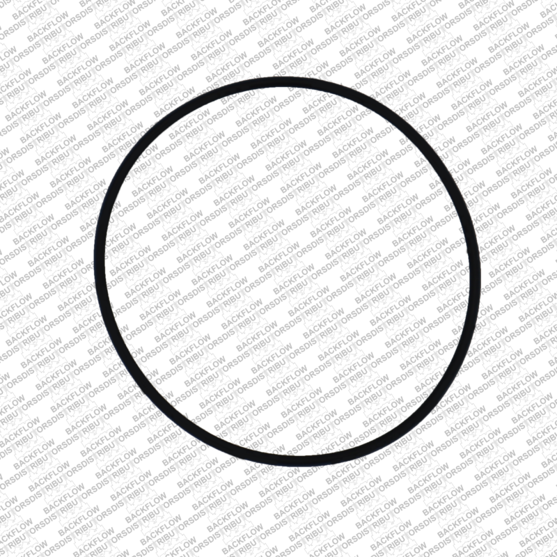 WILKINS 036N - LARGE O-RING FOR RELIEF VALVE BODY MOUNTING - 8" - 10" 975 RP ASSEMBLIES