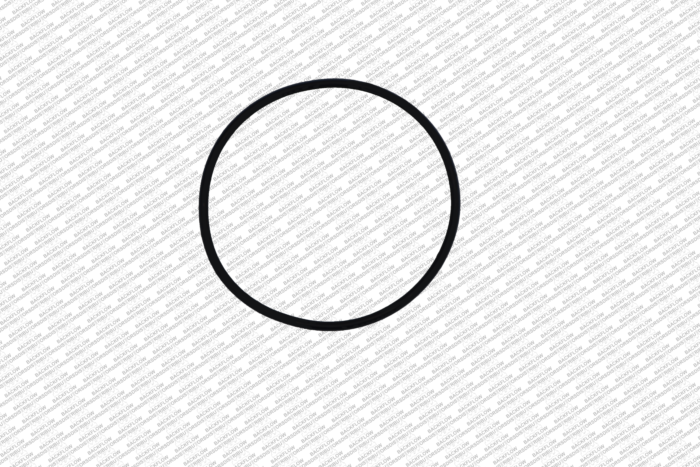 WILKINS 146N - RELIEF VALVE SEAT O-RING FOR 8" - 10" 375 / 375AST / 475