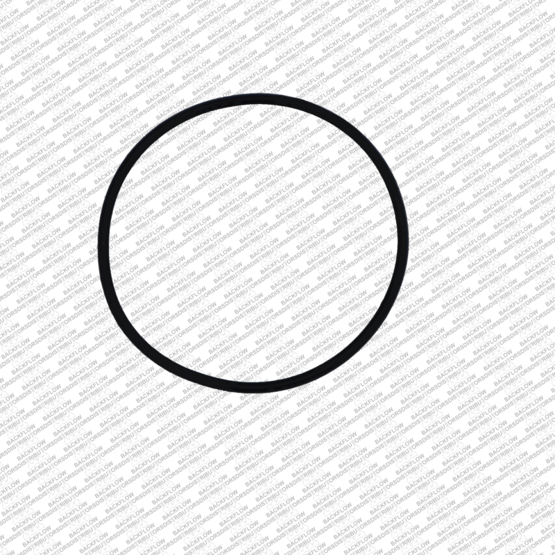 WILKINS 146N - RELIEF VALVE SEAT O-RING FOR 8" - 10" 375 / 375AST / 475