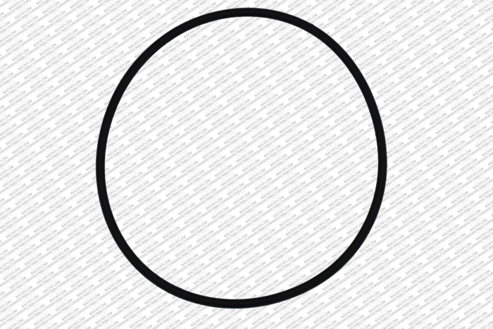 WILKINS 245N - O-RING ONLY FOR #1 OR #2 CHECK MODULE BODY - 2 1/2" - 3" 350 / 450 DC / 2 1/2" - 3" 375 / 475 RP ASSEMBLIES