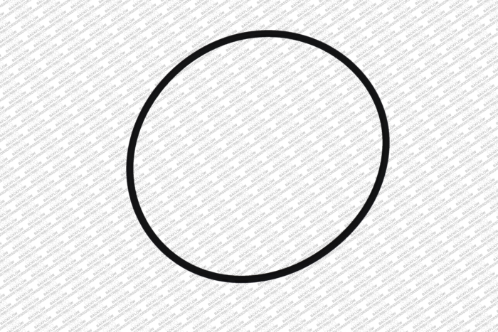WILKINS 248N - CAP O-RING ONLY FOR 2 1/2" - 3" 950 / 975 ASSEMBLIES