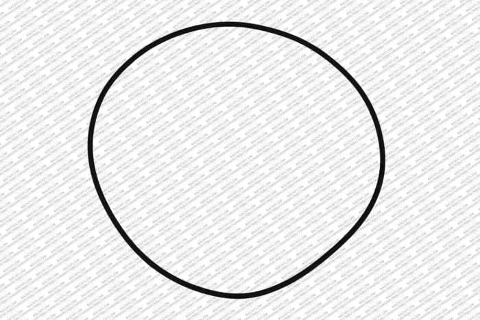 WILKINS 264N - CAP O-RING ONLY FOR 4" 950 / 975 ASSEMBLIES