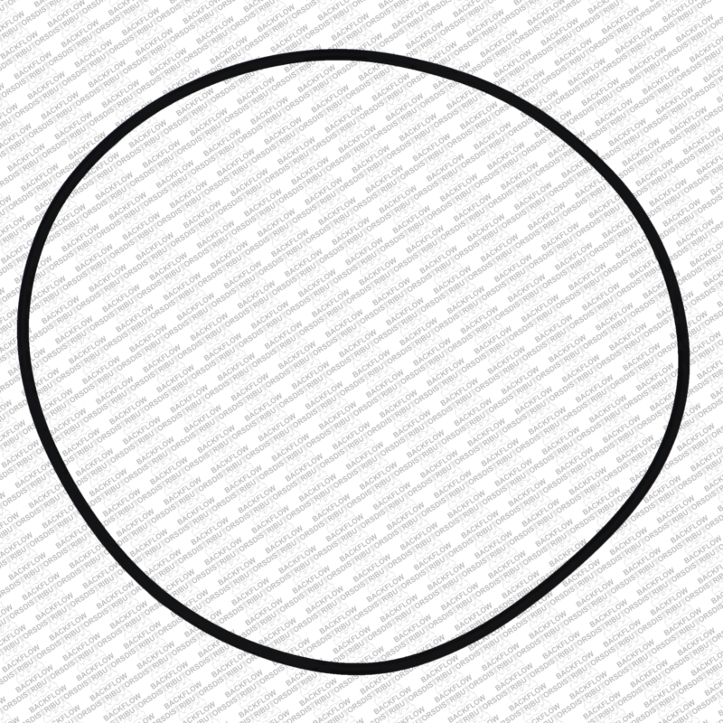 WILKINS 264N - CAP O-RING ONLY FOR 4" 950 / 975 ASSEMBLIES