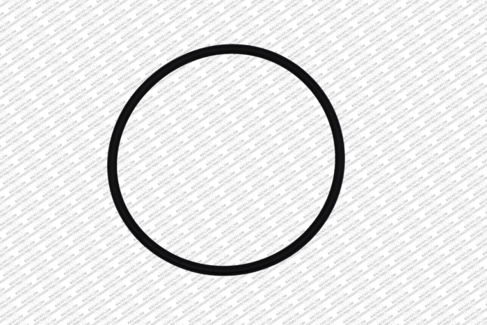 WILKINS 351-N "O" RING ONLY #1 OR #2 CHECK MODULE BODY FOR 2 1/2"-4" 350ST-375ST - CHECK VALVES  4" 375- 475 RP ASSEMBLIES