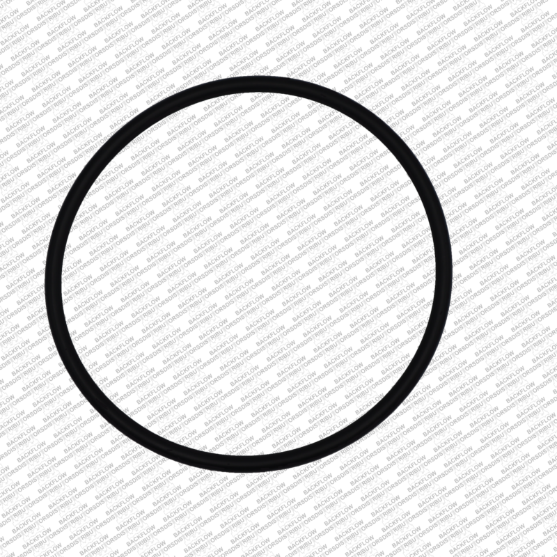WILKINS 351-N "O" RING ONLY #1 OR #2 CHECK MODULE BODY FOR 2 1/2"-4" 350ST-375ST - CHECK VALVES  4" 375- 475 RP ASSEMBLIES