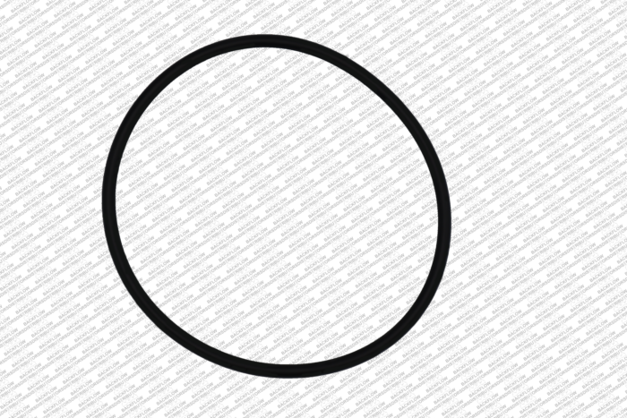 WILKINS 353N - O-RING ONLY FOR #1 OR #2 CHECK MODULE BODY - 4" 350 / 450 / 375 / 475 RP ASSEMBLIES