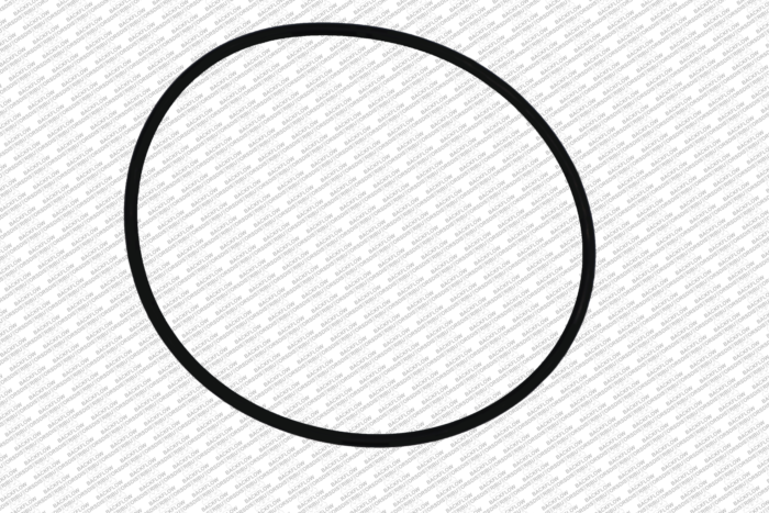 WILKINS 364N - O-RING ONLY FOR #1 OR #2 CHECK MODULE BODY - 6" 350 / 450 / 375 / 475 ASSEMBLIES