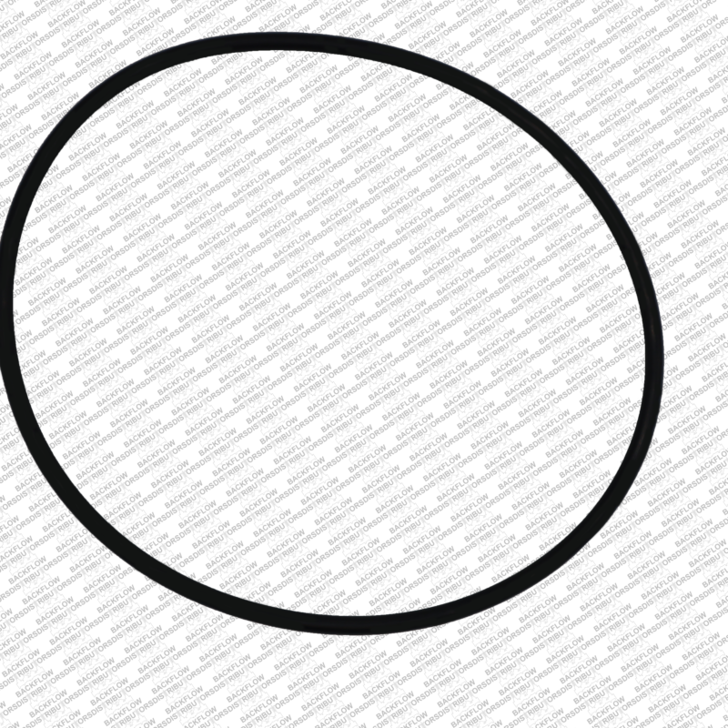 WILKINS 364N - O-RING ONLY FOR #1 OR #2 CHECK MODULE BODY - 6" 350 / 450 / 375 / 475 ASSEMBLIES