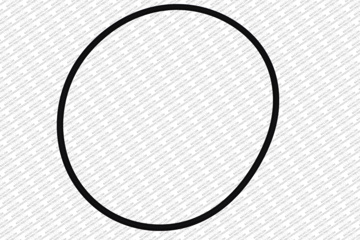 WILKINS 366N - O-RING ONLY FOR #1 OR #2 CHECK SEAT RING - 6" 950 / 975 ASSEMBLIES