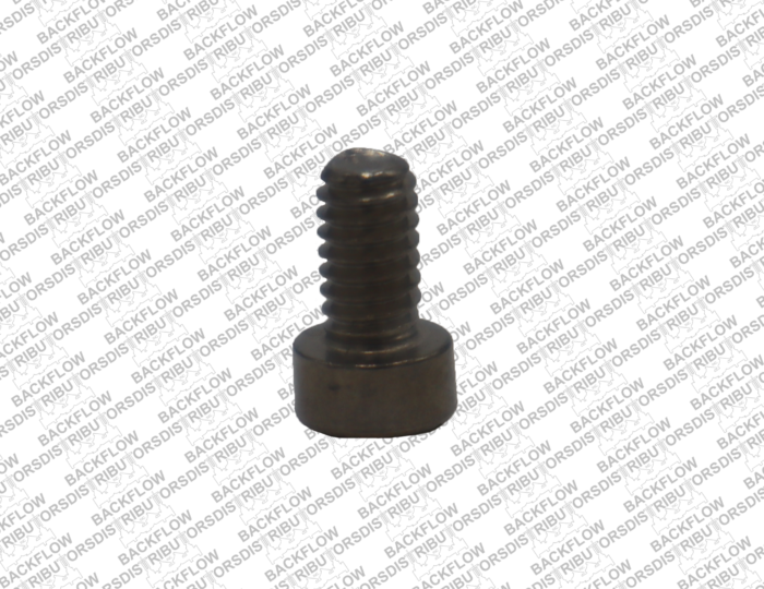 WILKINS 721-11 - CANOPY SCREW FOR 3/4" 720A PRESSURE VACUUM BREAKER