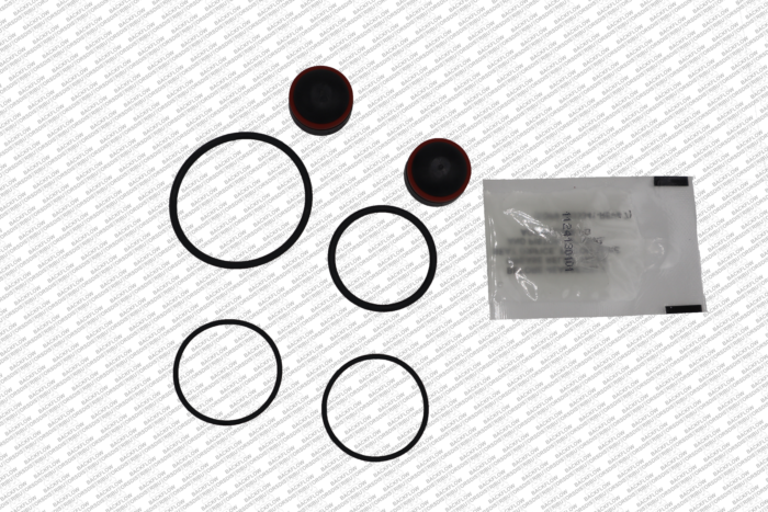 WATTS 0887043 - RT KIT - TOTAL RUBBER REPAIR KIT (LEAD FREE) FOR 3/4" WATTS 007M2 / AMES 2000B DC ASSEMBLIES
